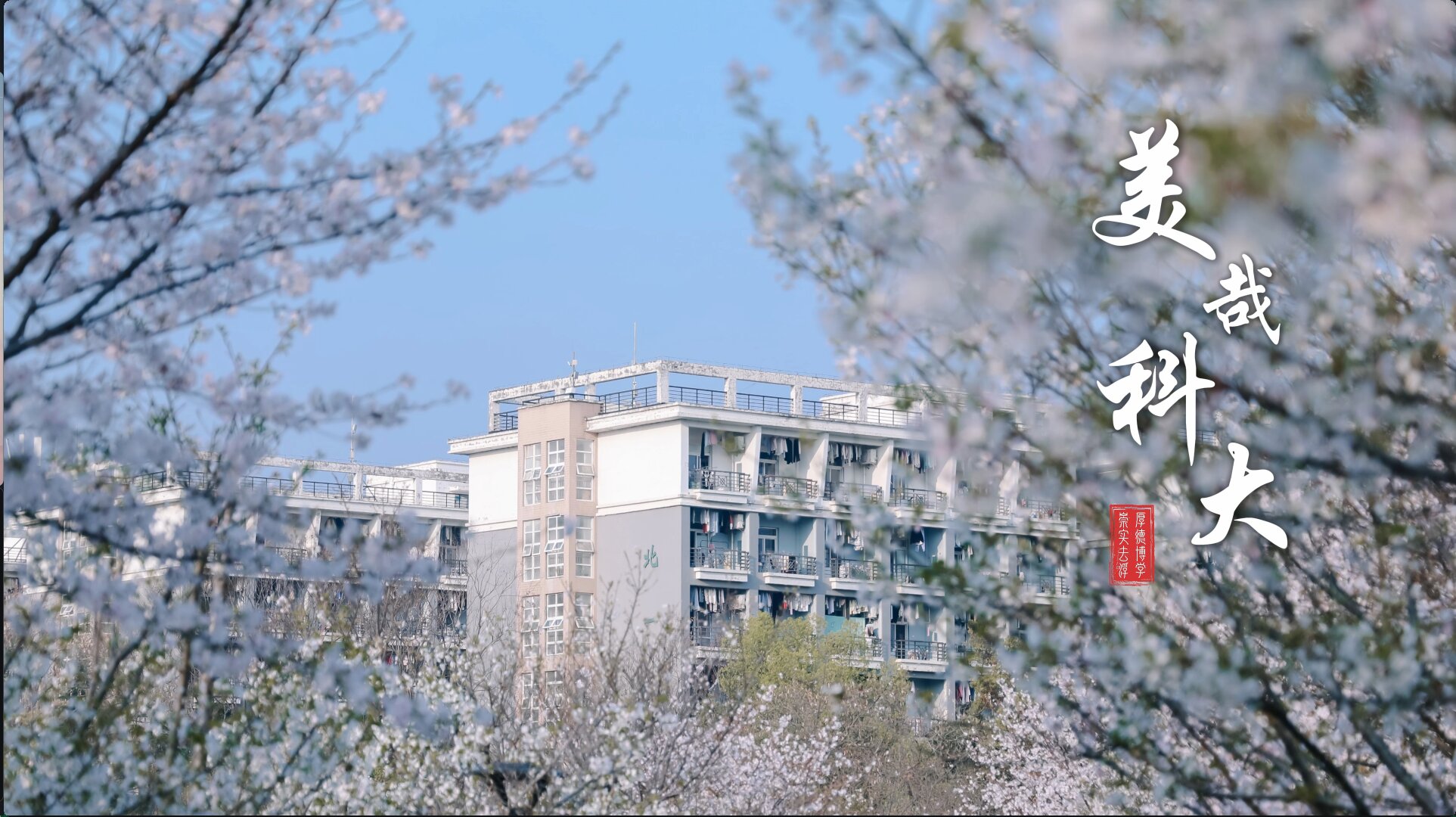 88858cc永利官网